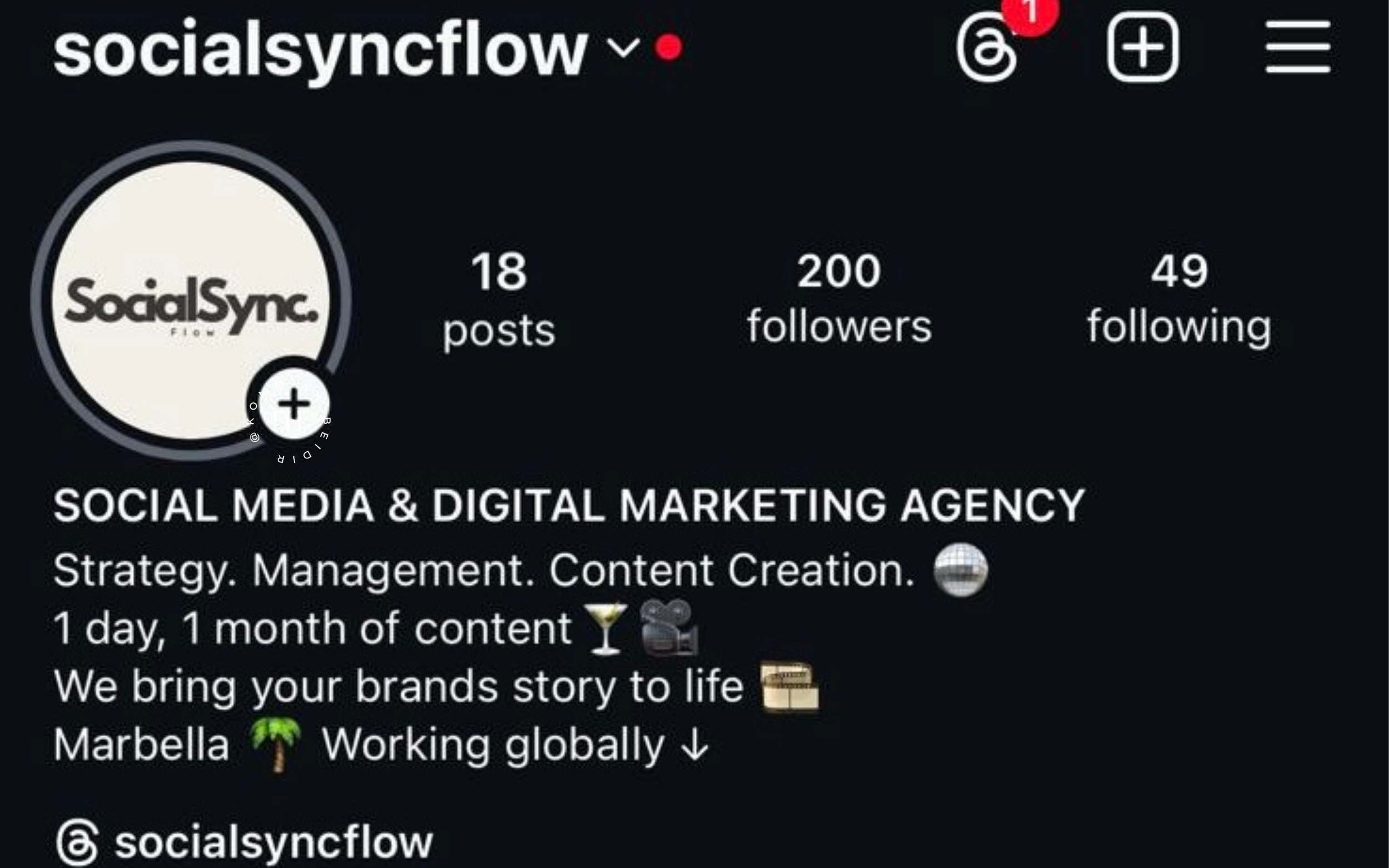 SocialSync Instagram profile with 200 followers